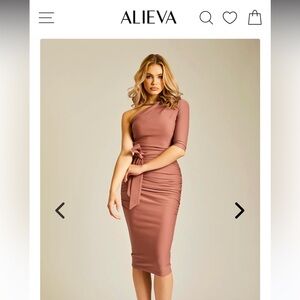 ALIEVA DOLLY ELEGANT BODYCON DRESS (ROSY BROWN)